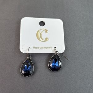 Blue Earrings
